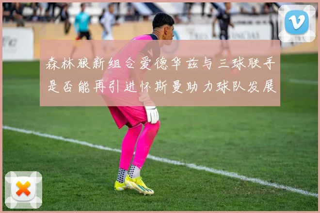 森林狼新组合爱德华兹与三球联手是否能再引进怀斯曼助力球队发展